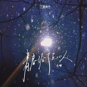 青春给了负心人（DJ版）