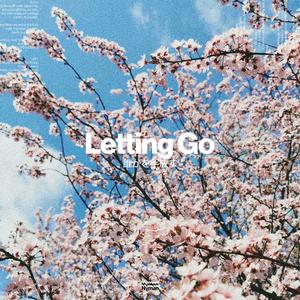 Letting Go