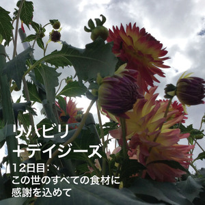 12日目：この世のすべての食材に感謝を込めて