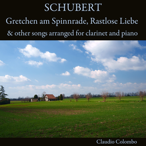Gretchen am Spinnrade, D.118 (Arr. for Clarinet and Piano by Claudio Colombo)