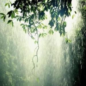 秋雨