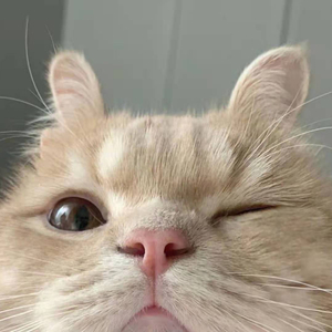 回想第一次遇见你，哑火