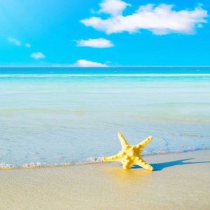 夏日循环（纯享版）