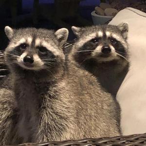 there4you (feat. Lil Skippy)