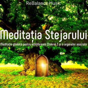 Meditația Stejarului-meditație ghidată pentru echilibrarea Chakrei a 3-a (și a organelor asociate)