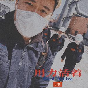 用力活着（精品男版）（翻自 张茜）