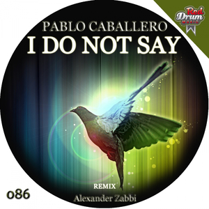 I Do Not Say (Original Mix)