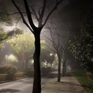 下次爱情来的时候DJ