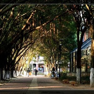 洋娃娃和小熊跳舞