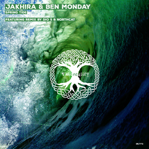 Spring Tide (Dio S Remix)