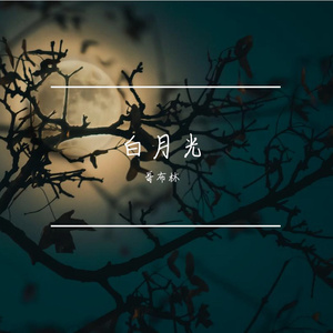 晚风与你-整曲 伴奏