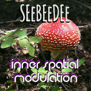 Inner Spatial Modulation