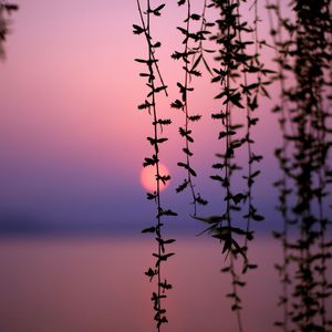 原来都是我的错 (烟嗓)