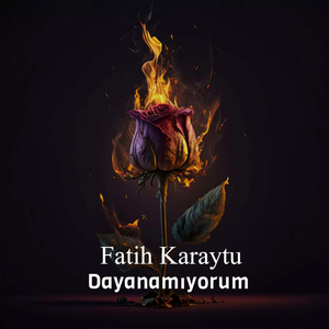 Dayanamıyorum