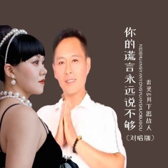 你的谎言永远说不够 (对唱版)