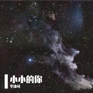 AI人声:陈子渝切-小小的你（李沐可 remix）