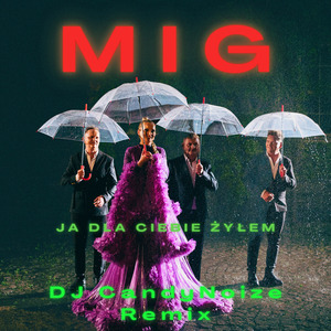 Ja dla Ciebie żyłem (DJ Candy Noize Remix)