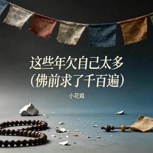 这些年欠自己太多(佛前求了千百遍)