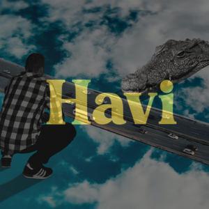 Havi