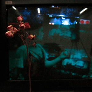 Твоими глазами