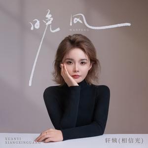 晚风 (DJ九零版)