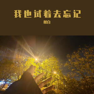 我也试着去忘记伴奏