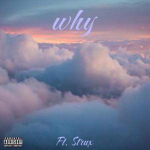 WHY (feat. Strux)