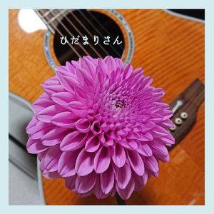 ひだまりさん