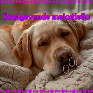 Houd je huisdier stil