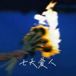 七天爱人