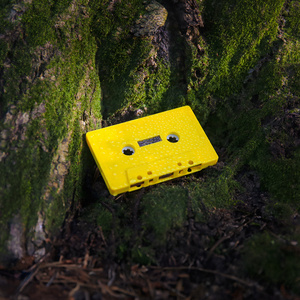 The final Distination