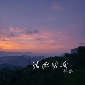遗憾回响