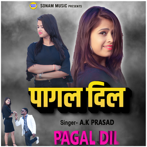 PAGAL DIL