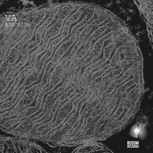 Body Shake (Original Mix)