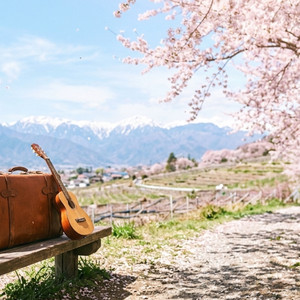 タンデライオンの翼