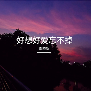 你欠我的不是再见 是那年没说完的其实