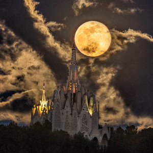 No et vaig deixar volar