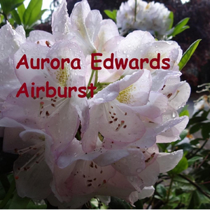 Airburst