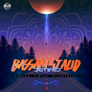 Abundantia (LUM1NA Remix)