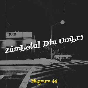 Zâmbetul Din Umbră