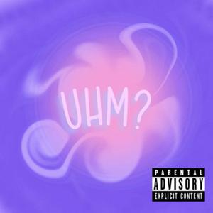 Donaudampfschiffahrtsgesellschaftskapitän Kamm