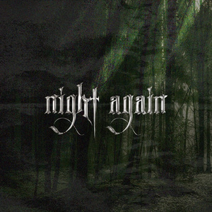Night Again
