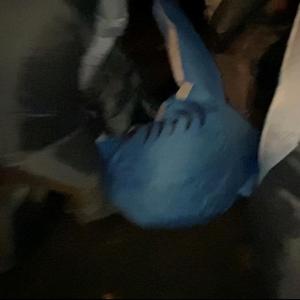 SHARKS! (feat. Zirk)