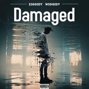DAMAGED