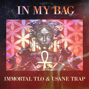 In My Bag (feat. uSane TRAP)