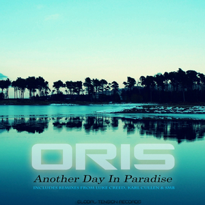 Another Day In Paradise (S.M.B Remix)