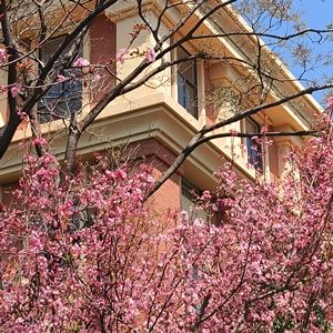 Love Paradise（cover陈慧琳）