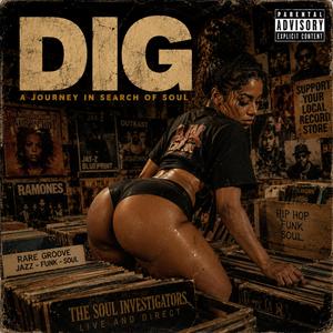 Dig
