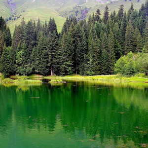 愛は潮のようなものです