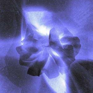 Camellia山茶花（Prod.EVOMUSIC)